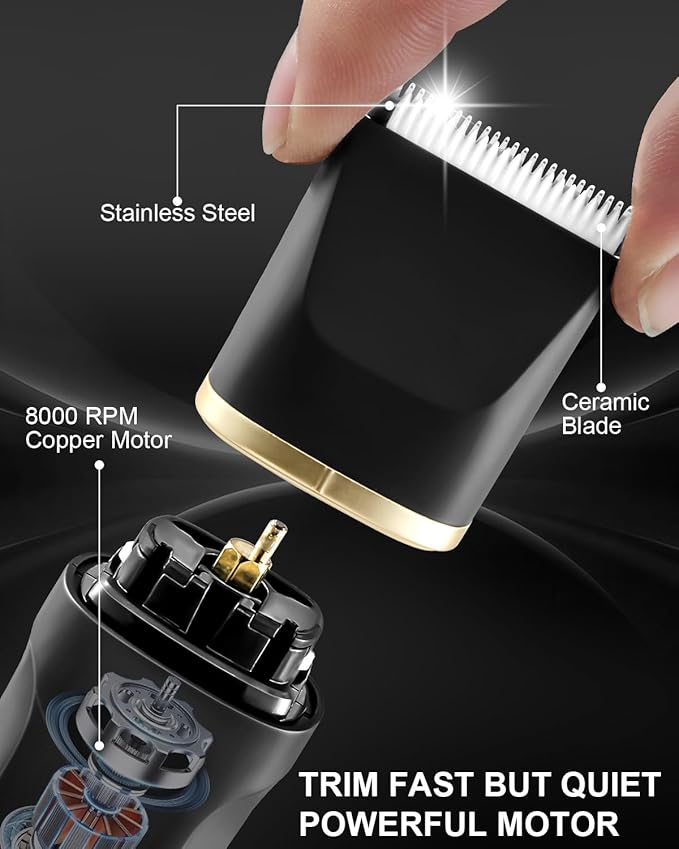 Areyzin Body Hair Trimmer & Groomer, 3 in 1 Pubic Hair Trimmer, USB Recharge, Replaceable Blade, IPX7, Men's Black Grooming Kit