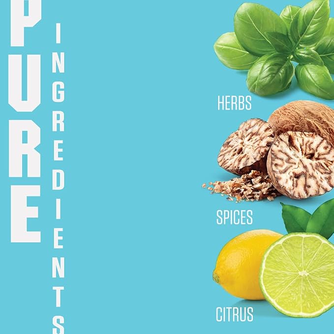 Musk & Hustle Premium Impressions of Creed Aventus, Acqua Di Gio, Tom Ford, Bleu de Chanel, Gucci for Men | 2013 Legacy Edition | Pure Oil Cologne