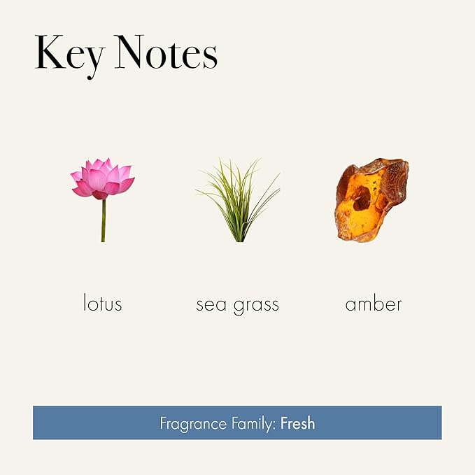 LAFCO New York Liquid Soap, Sea & Dune - 12 oz - Regenerates, Protects & Moisturizes - All Skin Types - Hypoallergenic, Synthetic Free & Cruelty Free - Made in Italy