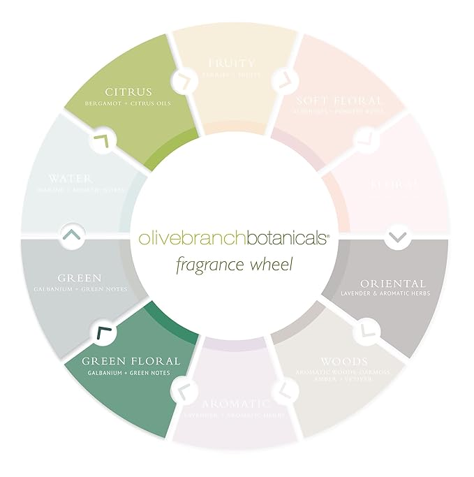 Gilchrist & Soames Olive Branch Shower Gel & Body Wash - 12oz - Gently Cleansing, Zero Parabens, Sulfates, and Phthalates