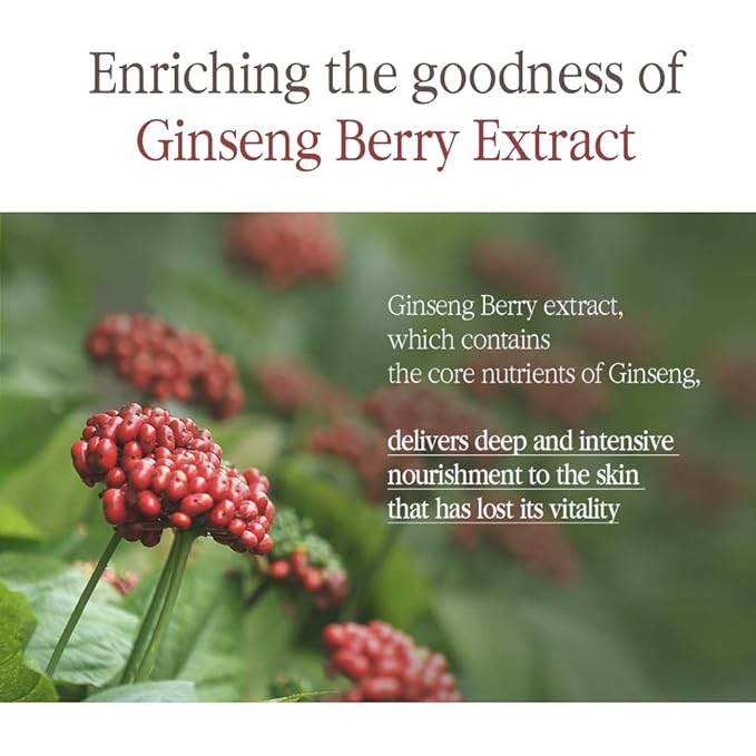 Pyunkang Yul PKY Black Tea Boosting Serum for Anti-aging, Condensed Nutrition for Fine Line Care with Kombucha, Ginseng Fruit Extract, Zero-Irritation, Korean Skincare (1.52 Fl. Oz, 45ml)
