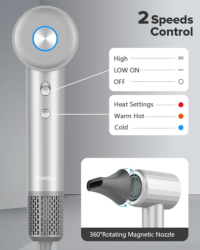 Ionic Hair Dryer, High Speed Blow Dryer with 110, 000 RPM Brushless Motor for Fast Drying, Low Noise, Lightweight, Magnetic Nozzle, Thermo-Control Hairdryer for Women Home Travel (Grey)