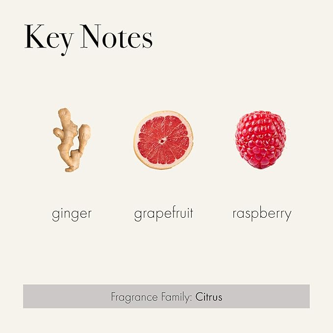 LAFCO New York Liquid Soap, Champagne - 12 oz - Regenerates, Protects & Moisturizes - All Skin Types - Hypoallergenic, Synthetic Free & Cruelty Free - Made in Italy