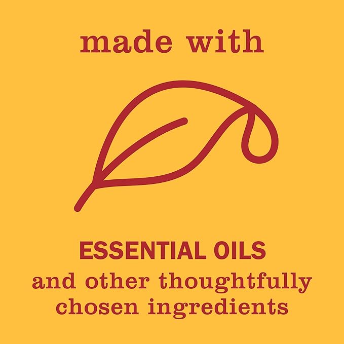 MRS. MEYER'S CLEAN DAY Hand Soap, Clementine, Made with Essential Oils, 12.5 oz - Pack of 3