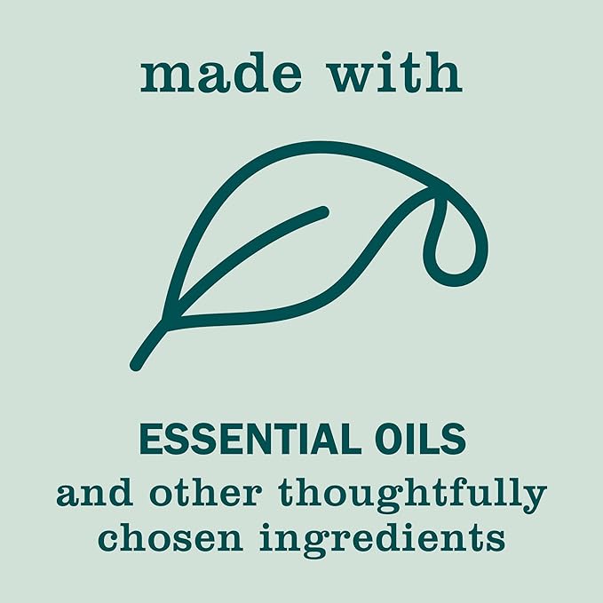 MRS. MEYER'S CLEAN DAY Hand Soap, Made with Essential Oils, 12.5 oz - Pack of 3