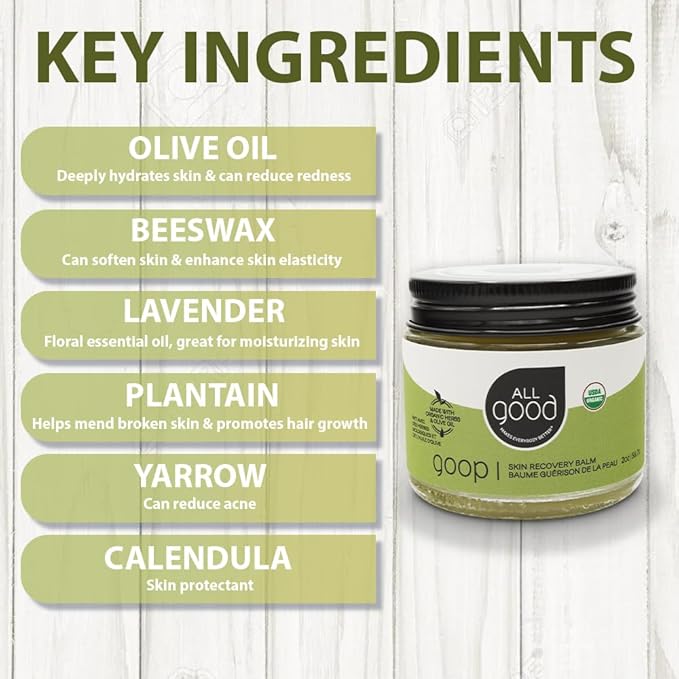 All Good Goop Organic Skin Care Recovery Balm - All Purpose Ointment w/Calendula, Lavender, Beeswax - Chafing Cream, Dry Skin Salve, Cracking Lip Moisturizer - Soothes, Hydrates & Calms - 2oz