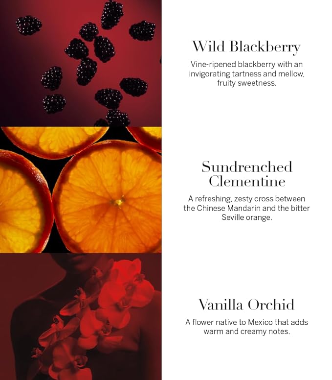 Victoria's Secret Very Sexy Eau de Parfum Rollerball, Notes of Vanilla Orchid, Sun-Drenched Clementine & Wild Blackberry, Travel Size Mini Perfumes for Women (0.23 oz)