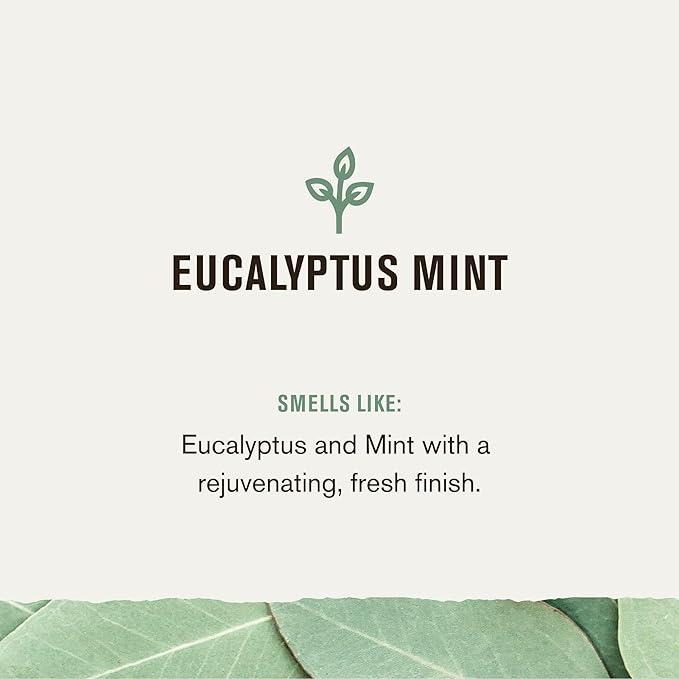 Every Man Jack Eucalyptus Mint Mens Body Wash for All Skin Types - Cleanse, Nourish, and Hydrate Skin with Naturally Derived Ingredients - Paraben Free, Phthalate Free, Dye Free - 33.8oz - 2pack