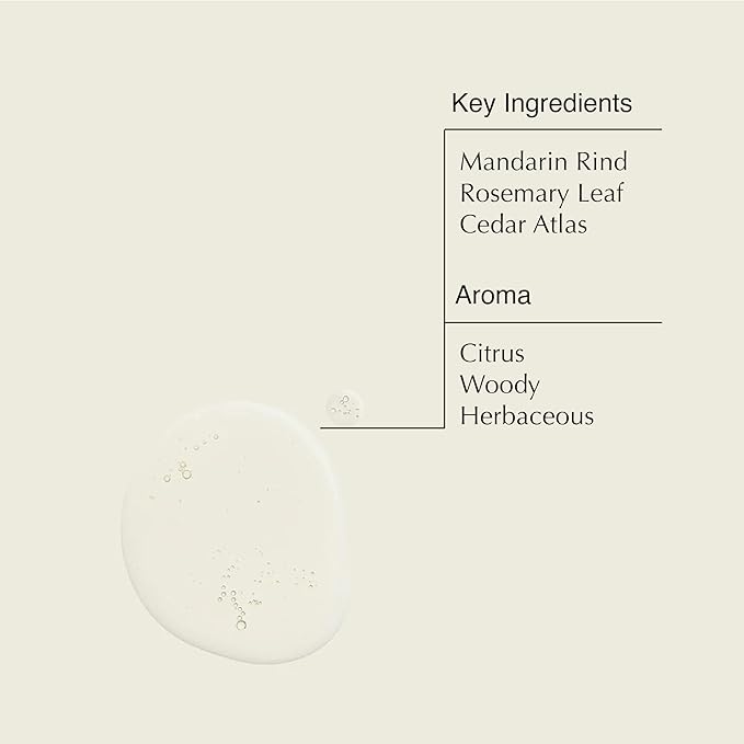 Aesop Resurrection Rinse-Free Hand Wash | Aromatic, Alcohol-Based Gel with Purifying and Hydrating Properties | Cleanses without Water | 1.7 oz + 16.9 oz