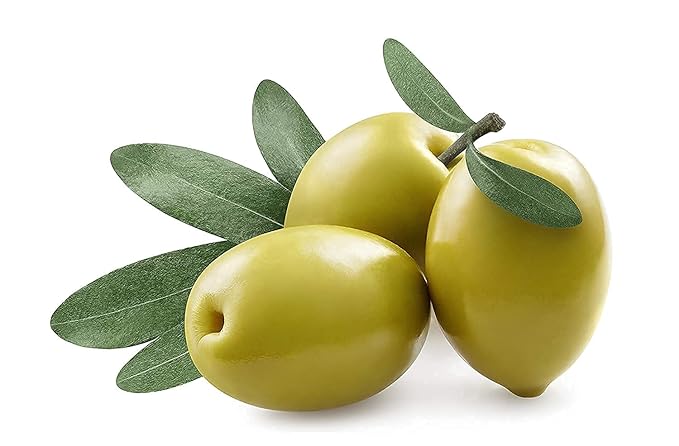 Squalane Oil - Pure, Natural, Plant-Derived, Non GMO, Refined - 16 oz - Squalene Alternative, from Olive - Ultra Hydrating & Moisturizing Carrier Oil - Hexane Free, Cold Pressed - OPO