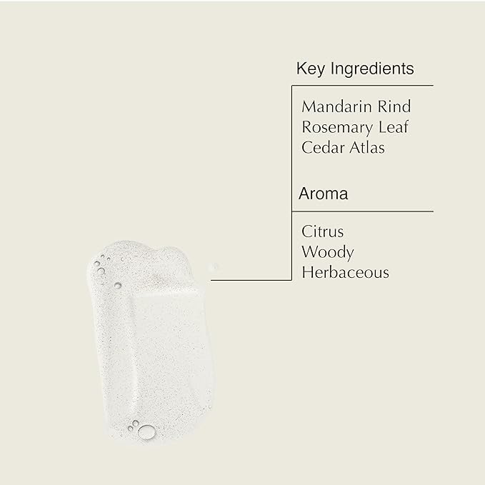 Aesop Resurrection Rinse-Free Hand Wash | Aromatic, Alcohol-Based Gel with Purifying and Hydrating Properties | Cleanses without Water | 1.7 oz + 16.9 oz