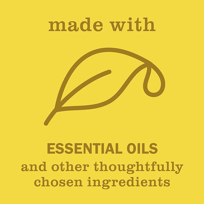 MRS. MEYER'S CLEAN DAY Liquid Hand Soap, Daisy, 12.5 OZ