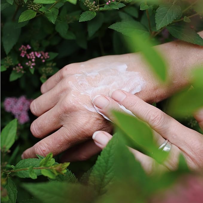 Hand Cream Set of 3, with Shea Butter, Cocoa Butter, Argan & Almond oil, Moisturizing Dry Hands, (Grapefruit Turmeric + Rosemary Mint + Coconut Cocoa Butter) 60 ml (2 fl.oz.) x 3