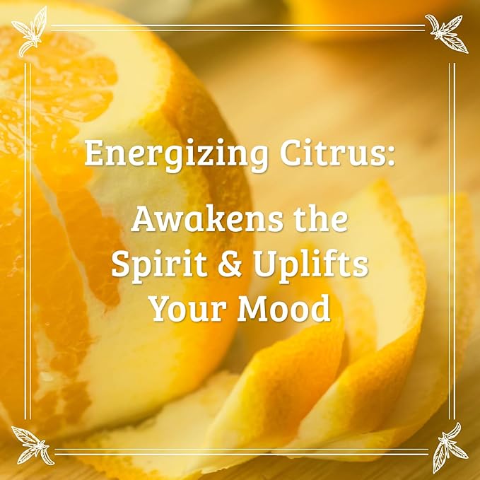 Pharmacopia Citrus Body Bar – Aromatherapy Body Soap with Natural & Organic Ingredients – Vegan Wash Bar for Men & Women, 4.4oz, Pack of 3