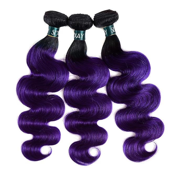 Purple Bundles Body Wave Human Hair Purple Weave 3Bundles with Closure Virgin Hair, Brazilian Remy Hair Ombre 1b/Purple 2 Tone Ombre Hair Wavy for Women(121416w10)