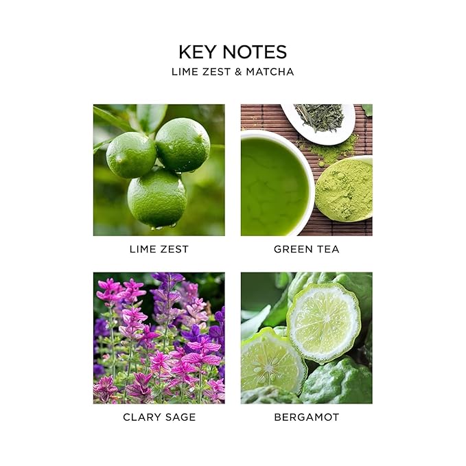 NEST New York Liquid Soap, Lime Zest & Matcha - 10 fl oz - Cleanses & Nourishes Skin - Approx. 300 Pumps Per Bottle - Gluten Free & Cruelty Free