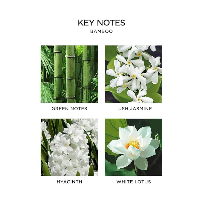 NEST New York Liquid Soap, Bamboo - 10 fl oz - Cleanses & Nourishes Skin - Approx. 300 Pumps Per Bottle - Gluten Free & Cruelty Free