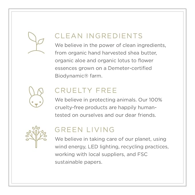 Zents Hand & Body Wash (Sun Fragrance) | Hydrating Anti-Aging Cleanser with Organic Shea Butter & Aloe for Dry Skin | Gentle & Nourishing | 10 fl oz