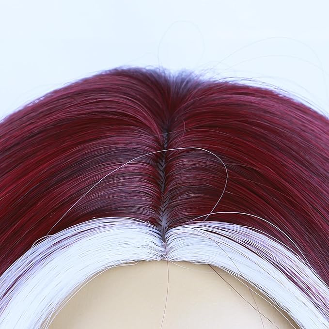 BERON Burgundy Wigs Long Wavy Wig for Women Curly Wine Red Heat Resistant Synthetic Hair Wigs for Cosplay Party Daily or Use