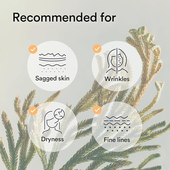 Abib Collagen Gel Mask Jericho Rose Jelly 10 Sheets (Nourishing) I Korean Vegan Collagen, Cooling Nourishing Hyaluronic Acid Hydrogel Face Mask Skin Care