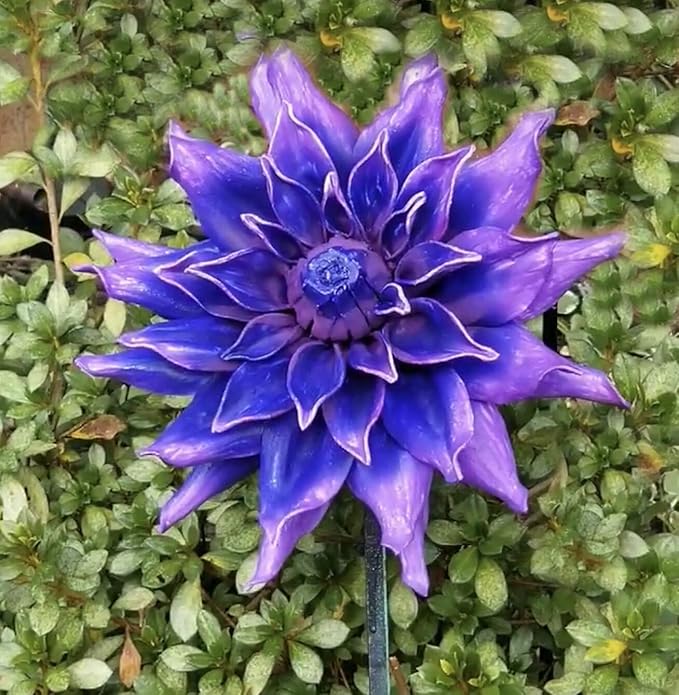 Temperature Activated Thermochromic Powder Pigment Blue Changing to Violet at 72F/22C Perfect for Color Changing T-Shirts Shoes Slime Arts Crafts Science Experiments Resin Jewelry Tumblers