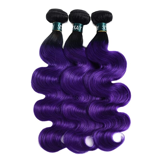 Purple Bundles Body Wave Human Hair Weave 3 Bundles 161820w14inch Closure Virgin Hair, Brazilian Remy Hair Ombre 1b/Purple 2 Tone Ombre Hair Wavy for Women(161820w14)