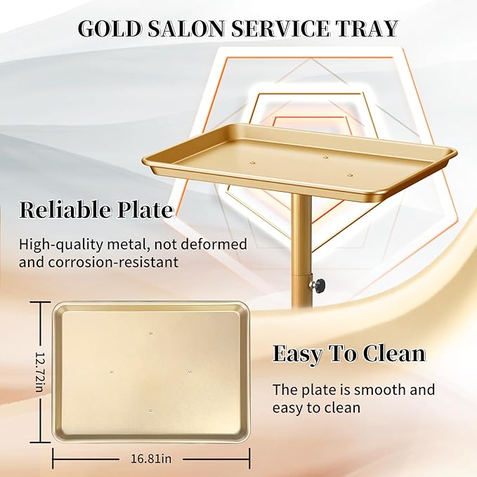 Salon Tray on Wheels, Gold Salon Tray Cart with Adjustable Height, Metal Service Instrument Storage Tray for Salon&Home Use