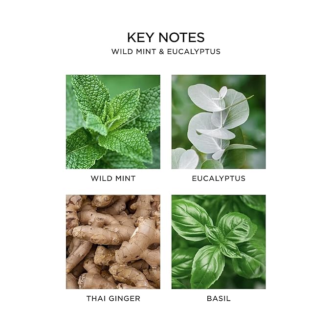 NEST New York Liquid Soap, Wild Mint & Eucalyptus - 10 fl oz - Cleanses & Nourishes Skin - Approx. 300 Pumps Per Bottle - Gluten Free & Cruelty Free