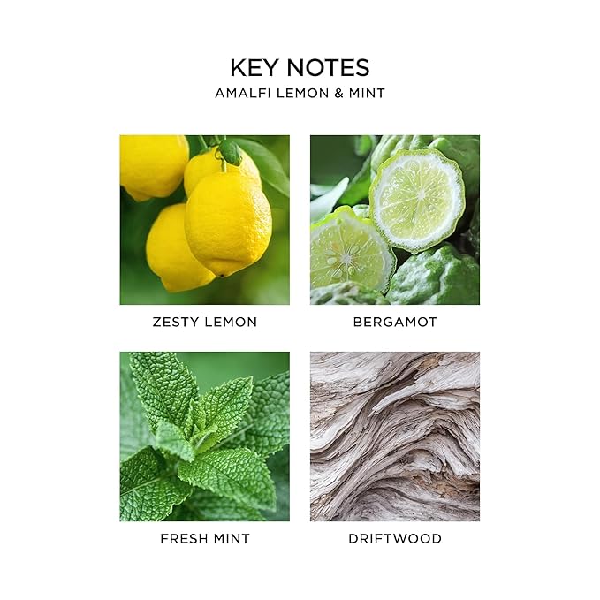 NEST New York Liquid Soap, Amalfi Lemon & Mint - 10 fl oz - Cleanses & Nourishes Skin - Approx. 300 Pumps Per Bottle - Gluten Free & Cruelty Free