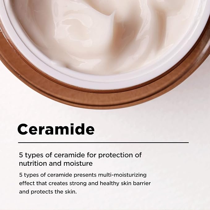 ma:nyo Bifida Biome Concentrate Cream Facial Moisturizing Cream with Hyaluronic Acid, Ceramide, for Women Skin Care, Natural Korean Skin care 1.69 fl oz (50ml)