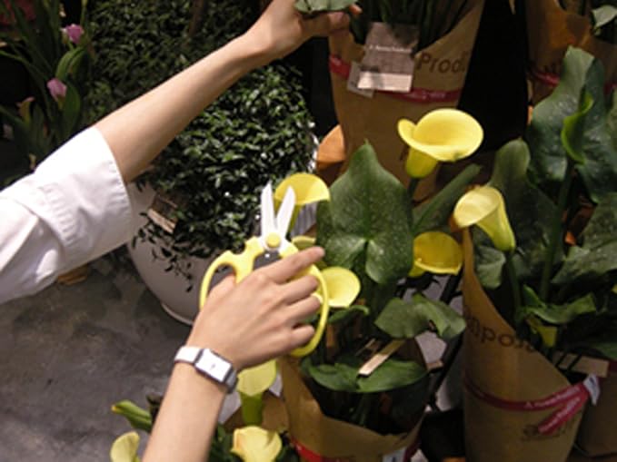 Flower Scissors Hand Creation F-170 (Orange, 170mm)