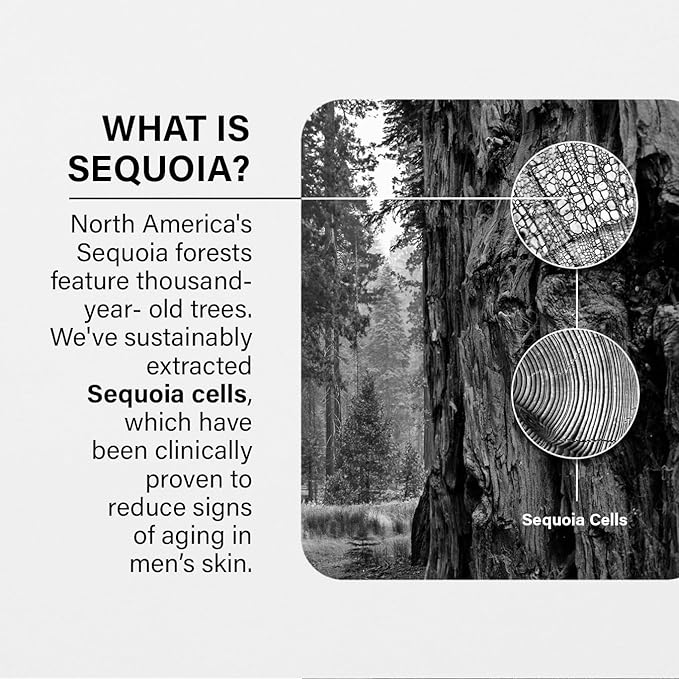 3-in-1 Men's Daily Longevity Face Cream with Sequoia Extract: Hydrating, Wrinkle-Reducing, Firming - Fragrance-Free, 1.7 Fl oz