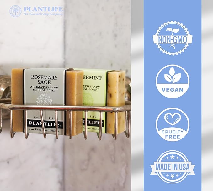 Plantlife Coconut Lime Bar Soap - Moisturizing and Soothing Soap for Your Skin - Hand Crafted Using Plant-Based Ingredients - Made in California 4oz Bar
