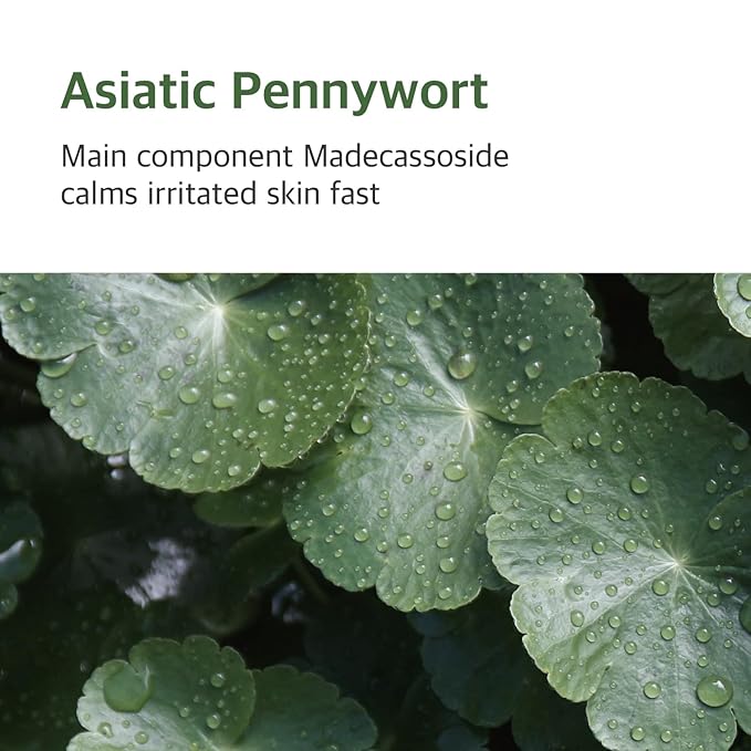 ROUND LAB Mugwort Calming Cream 80ml / Soothing, Moisturizing, Madecassoside, Calming Cream