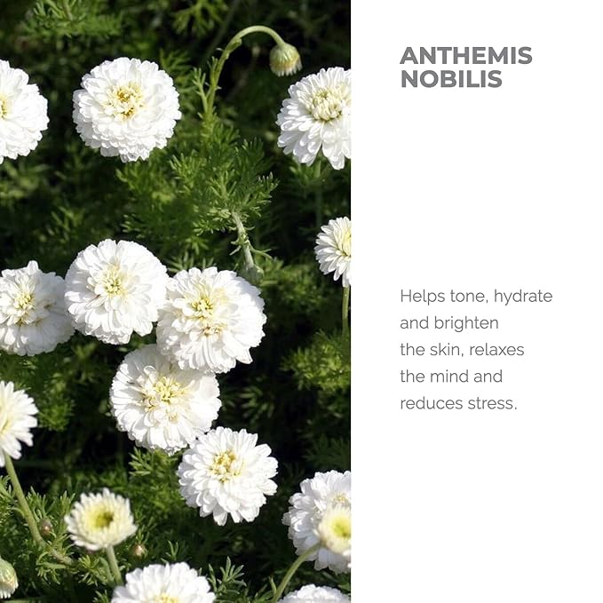 Alteya Organics Chamomile Water USDA Certified Organic Facial Toner, 17 Fl Oz/500mL Pure Bulgarian Anthemis Nobilis (Chamomile) Flower Water, Award-Winning Moisturizer BPA-Free Bottle with Reducer