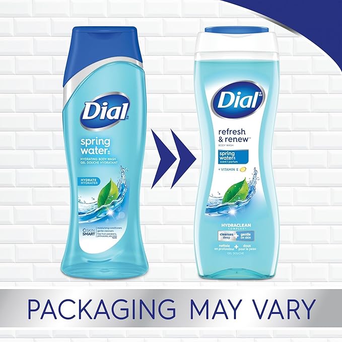 Dial Body Wash, Refresh & Renew Spring Water, 16 fl oz (Pack of 4)