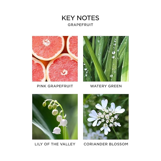 NEST New York Liquid Soap, Grapefruit - 10 fl oz - Cleanses & Nourishes Skin - Approx. 300 Pumps Per Bottle - Gluten Free & Cruelty Free