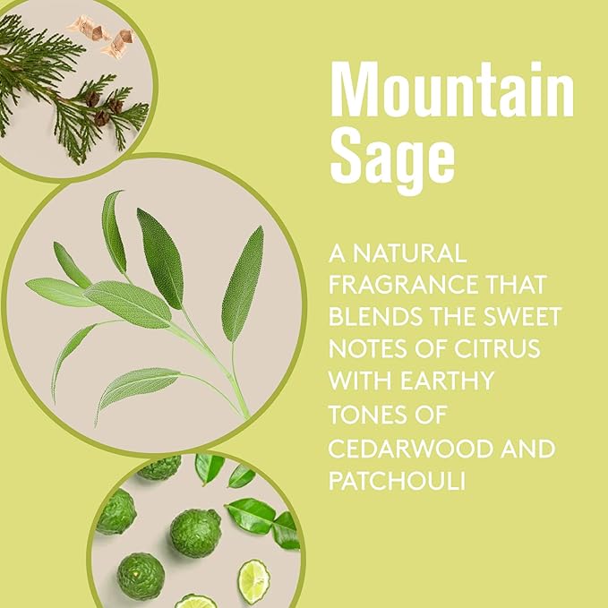 Barrel and Oak - Natural Fragrance Cologne for Men, Eau de Cologne, Essential Oil-Based Scent, Cedar & Patchouli Blend, Subtle Earthy Fragrance, Paraben Free, Vegan (Mountain Sage, 2.7 oz)