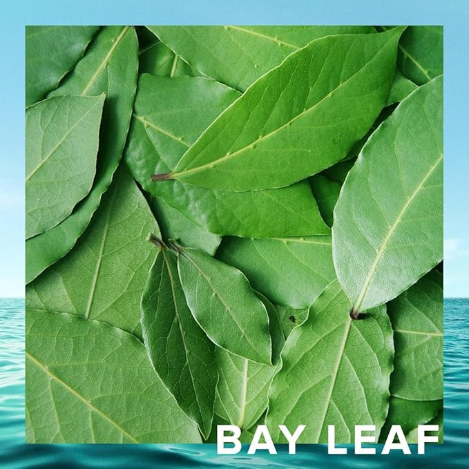 CR7 Origins Cristiano Ronaldo - With Pineapple Sorbet, Mandarin, and Patchouli for Men - 3.4 oz edt spray