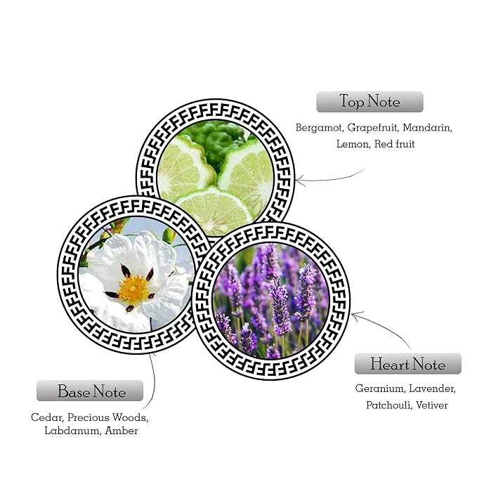 Armaf Ventana for Men Eau de Parfum Spray, 3.4 Ounce