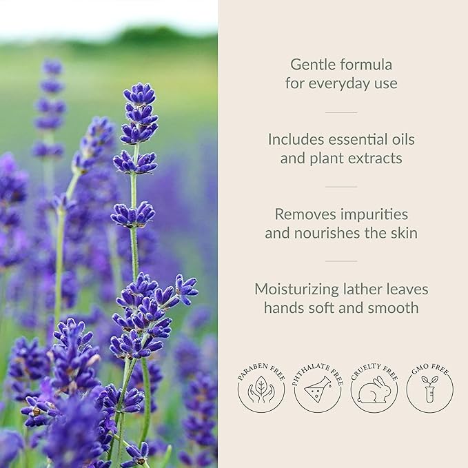 Archipelago Botanicals Lavender Hand Wash Refill, Liquid Hand Soap Refill, Fragrances with Lavender, Bergamot and Citrus, 33 fl oz