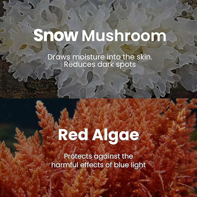 BLAQ Snow Circles Premium Under Eye Hydrating Patches for Dry Skin, Dark Circles and Puffiness. Snow Mushroom, Green Tea, Marine Algae, Vegan and Cruelty-Free, 15-Pack