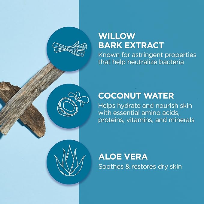 Andalou Naturals Instant Pure Pore Hydro Serum Facial Sheet Mask, Coconut Water, Clarifying, Non GMO, 0.6 Fluid Ounces (Pack Of 6)