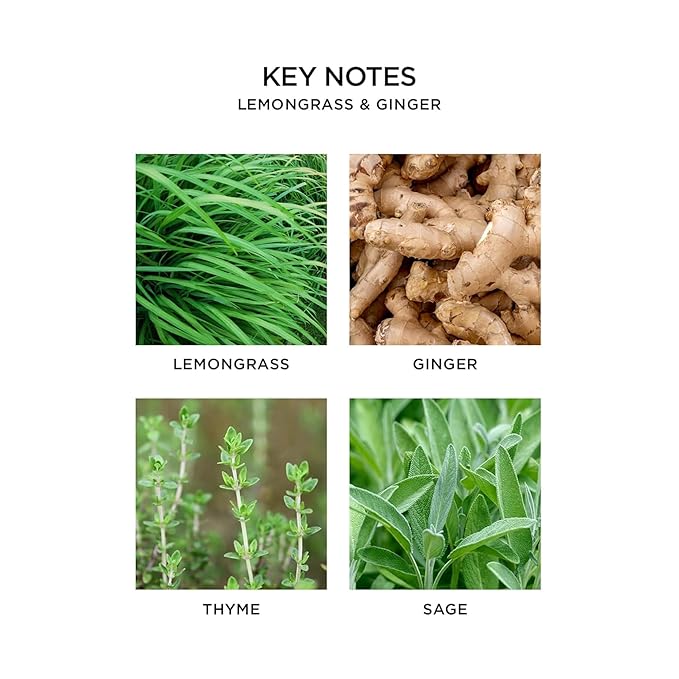 NEST New York Liquid Soap, Lemongrass & Ginger - 10 fl oz - Cleanses & Nourishes Skin - Approx. 300 Pumps Per Bottle - Gluten Free & Cruelty Free