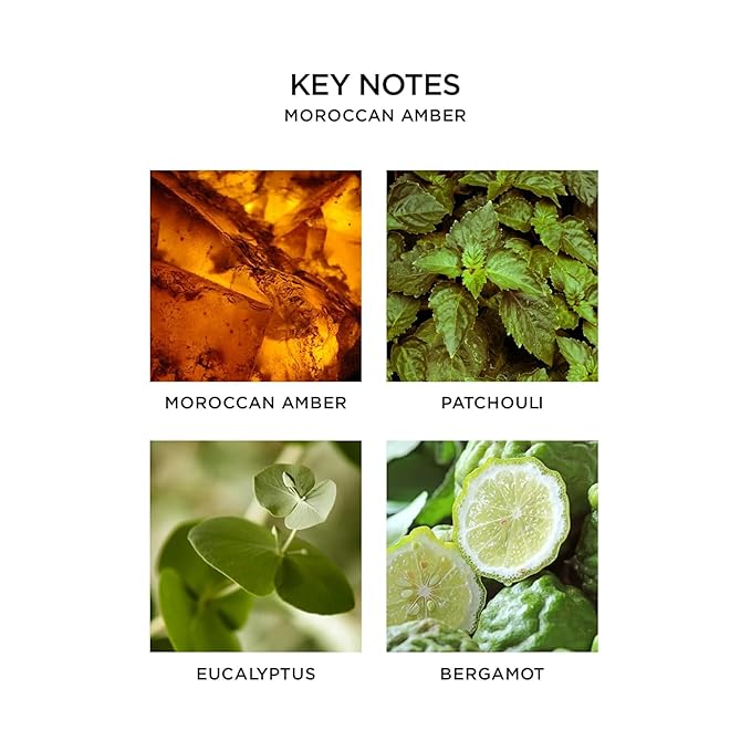 NEST New York Liquid Soap, Moroccan Amber - 10 fl oz - Cleanses & Nourishes Skin - Approx. 300 Pumps Per Bottle - Gluten Free & Cruelty Free