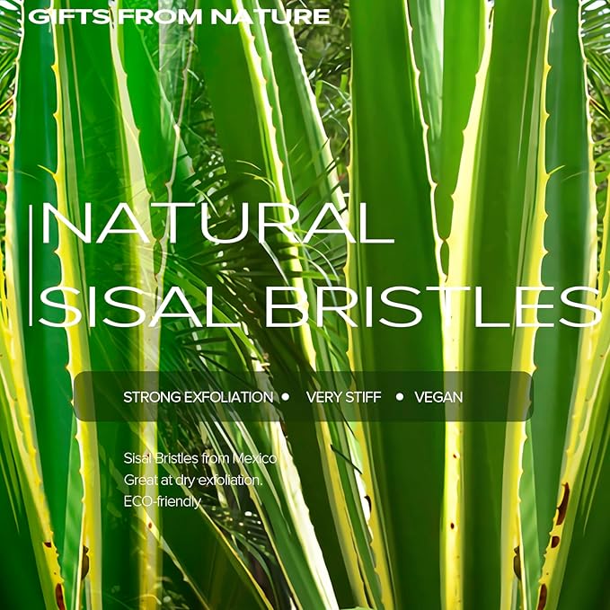 Very Stiff Dry Brushing Body Brush for Men&Women, Long Handle Dry Skin Brush for Cellulite and Lymphatic Drainage with Natural Agave Cactus Tampico Fiber Bristles