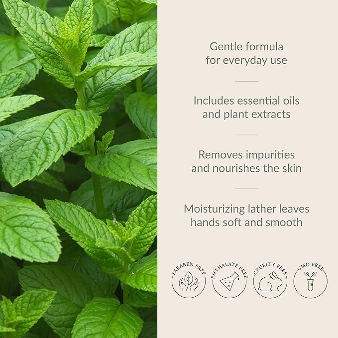 Archipelago Botanicals Morning Mint Hand Wash Refill, Liquid Hand Soap Refill, Fragrances with Mint, Basil and Mandarin, 33 fl oz