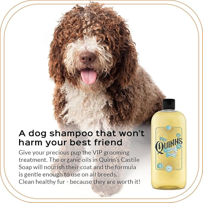 Quinn's Pure Castile Organic Unscented Liquid Soap 32 oz Alcohol Free Pink Grapefruit and Orange Rind Witch Hazel with Aloe Vera 16oz