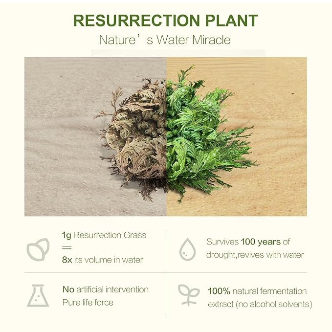 Korean Face Masks Skincare - 20 Pack Hydrating Sheet Masks with 7D Hyaluronic Acid & Resurrection Plant | Facial Masks for Women | Deep Moisture, Soothing Facial Mask for All Skin Types