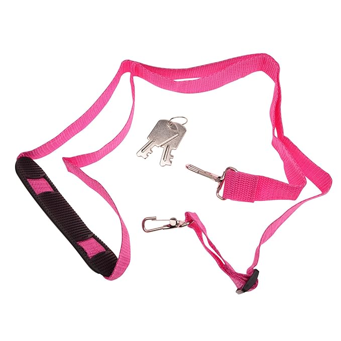 SHANY Essential Pro Makeup Train Case Cosmetic Box Portable Makeup Case Cosmetics Beauty Organizer Jewelry storage with Locks, Multi Compartments Makeup Box and Shoulder Strap - Pink